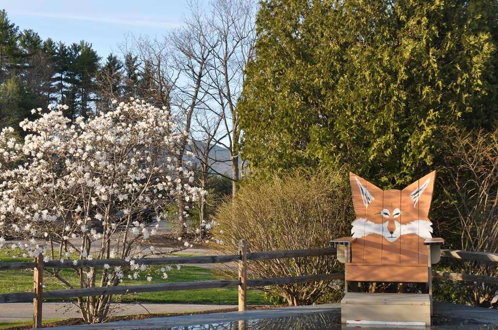 Fox Ridge Resort North Conway Bagian luar foto