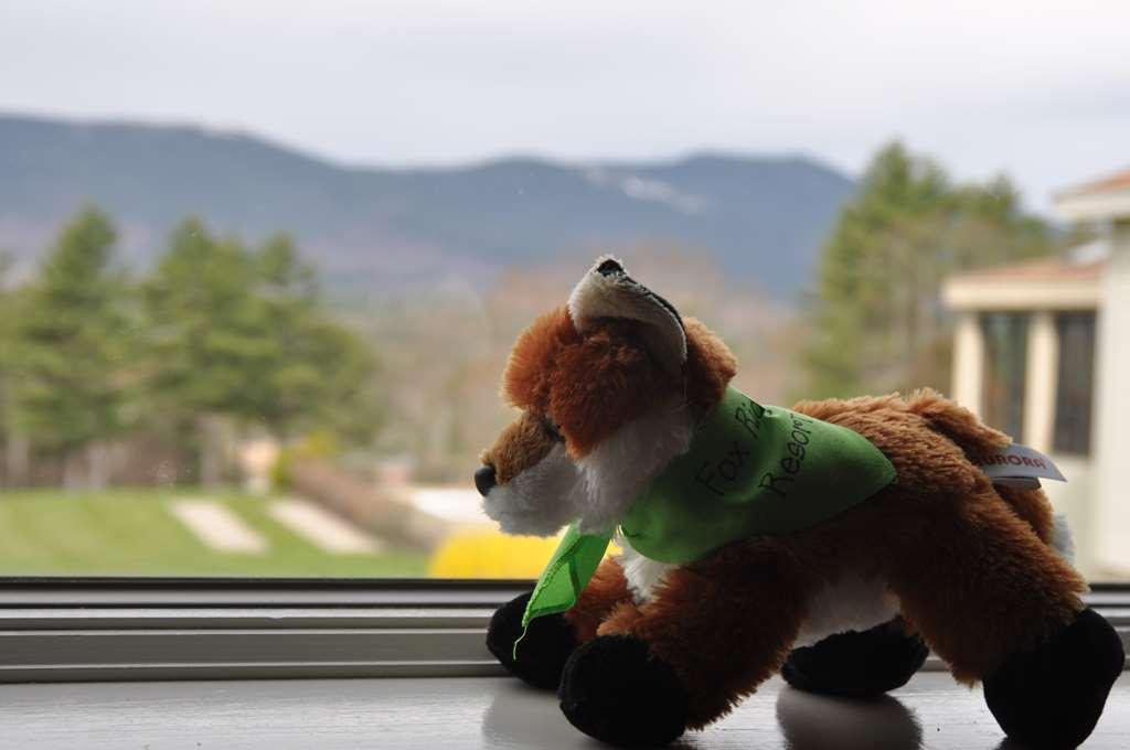 Fox Ridge Resort North Conway Bagian luar foto